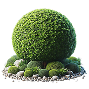 GL-element36
