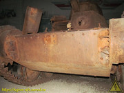 IMG-6004