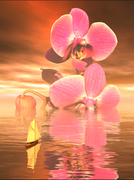 akmerlow-Discoveries-Await