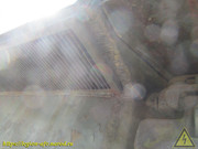 IMG-6530