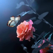 https://i.postimg.cc/9zvBwTVF/FB-IMG-1678543747760.jpg