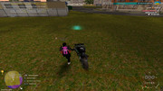 IMG-6630
