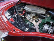 269278830-1985011961659277-5719751926880149605-n.jpg