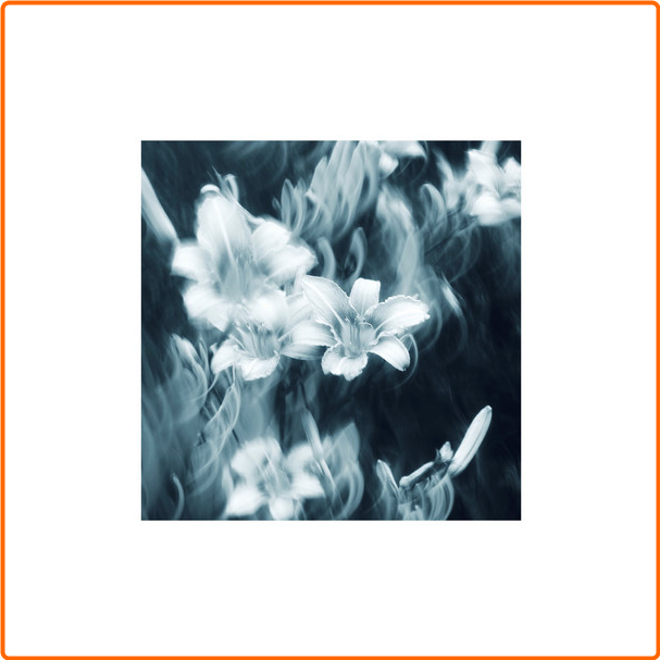 [Image: 1s7iugl3r4gs.png]