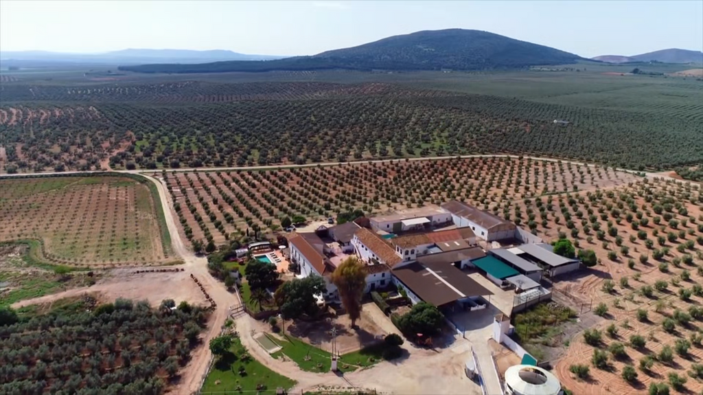 [Image: oo59gct60ygc.png]