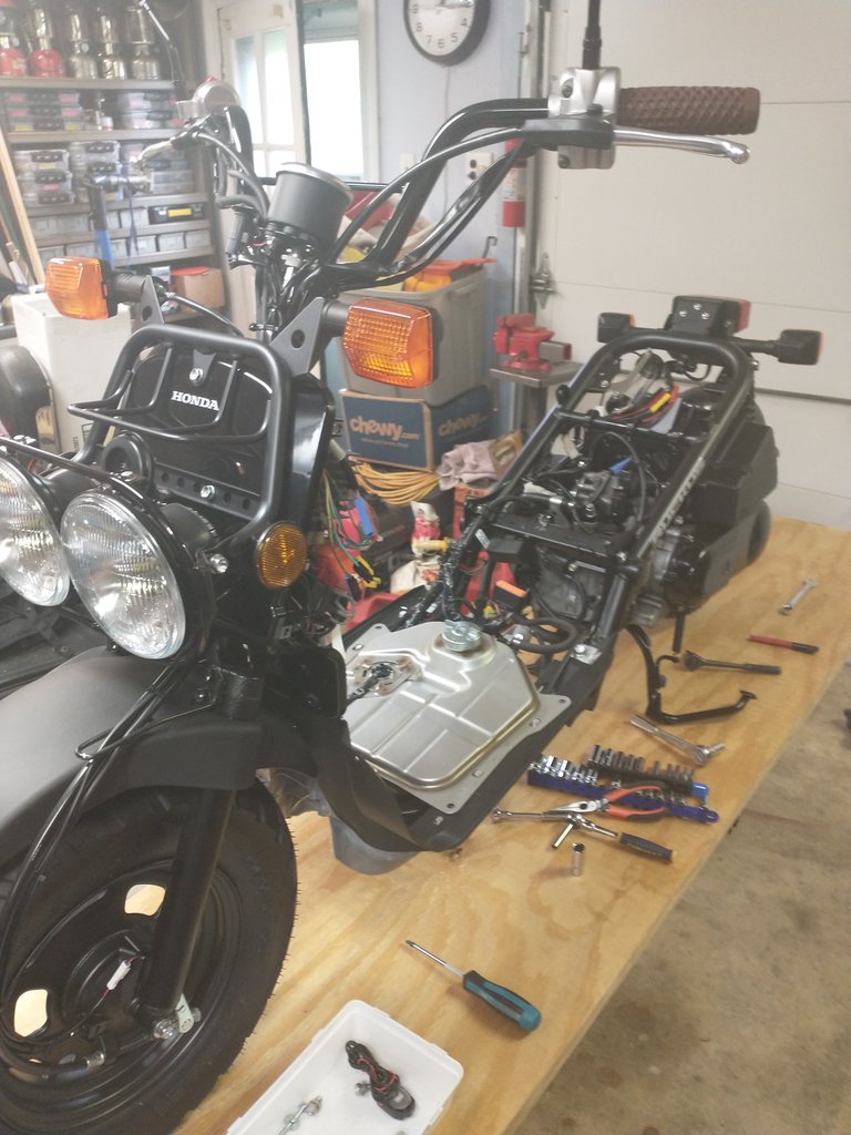 2024 Honda Ruckus Engine Swap 21 — Postimages