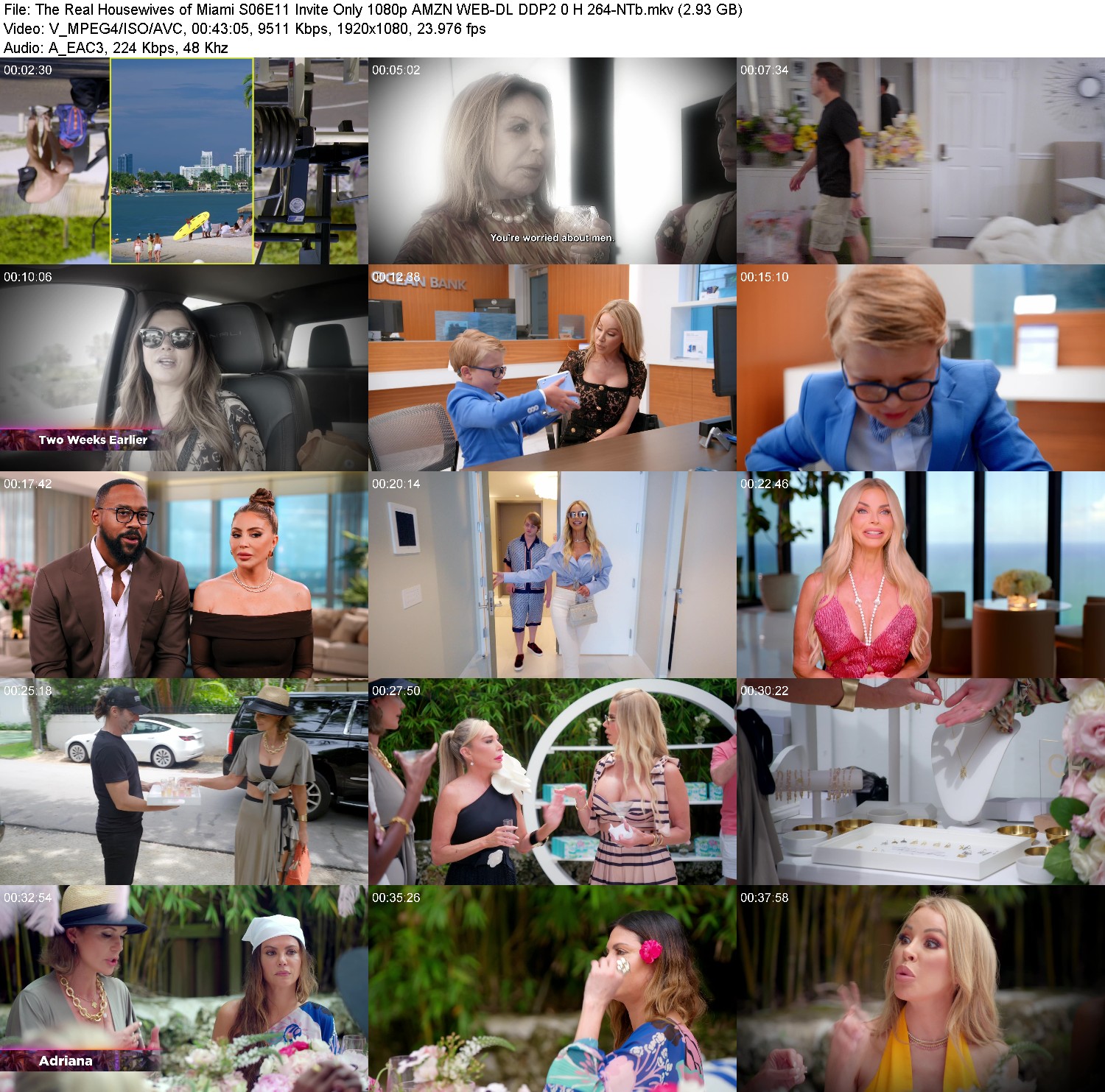 [Image: afq32cqs0a9a.jpg]