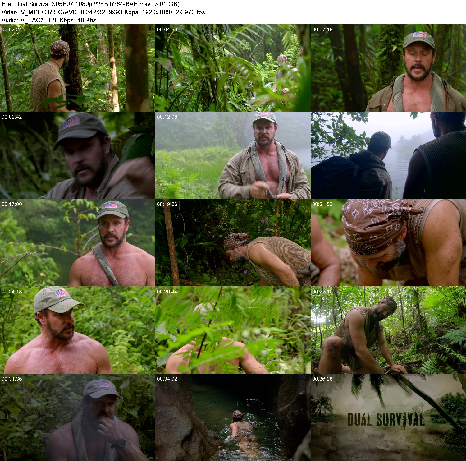 [Image: xzn3f58avba6.jpg]