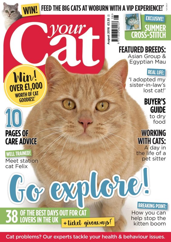 Your-Cat-August-2016.jpg