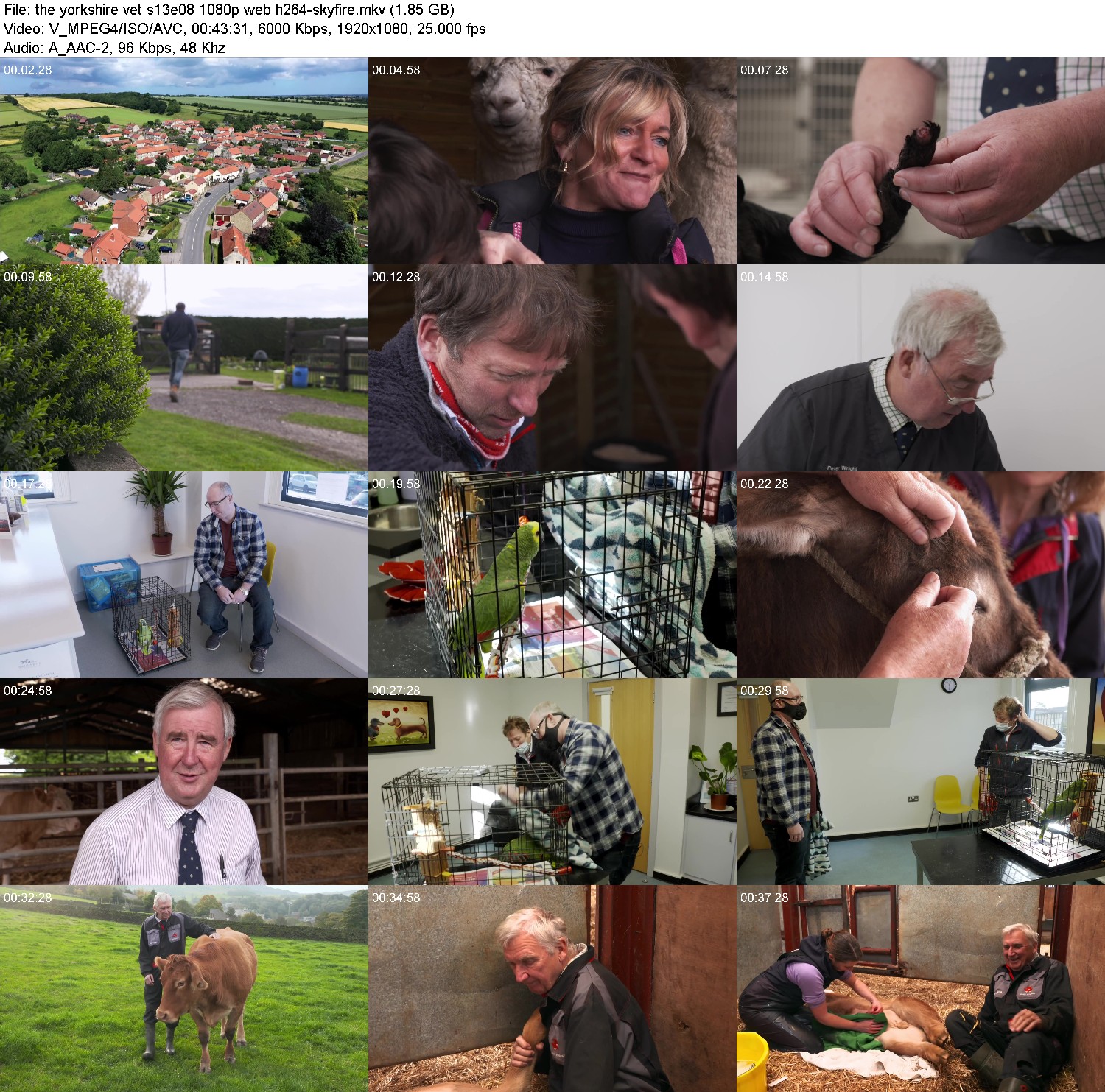 hqtp1347cwfc.jpg