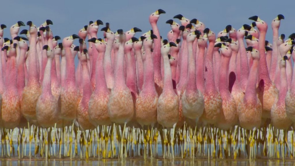 [Image: l42wg1iyqkl8.jpg]