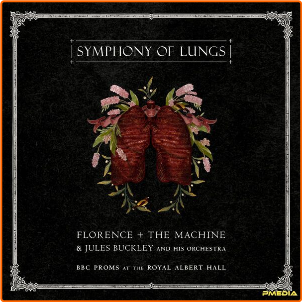 [Image: m5saolp05sk2.png]