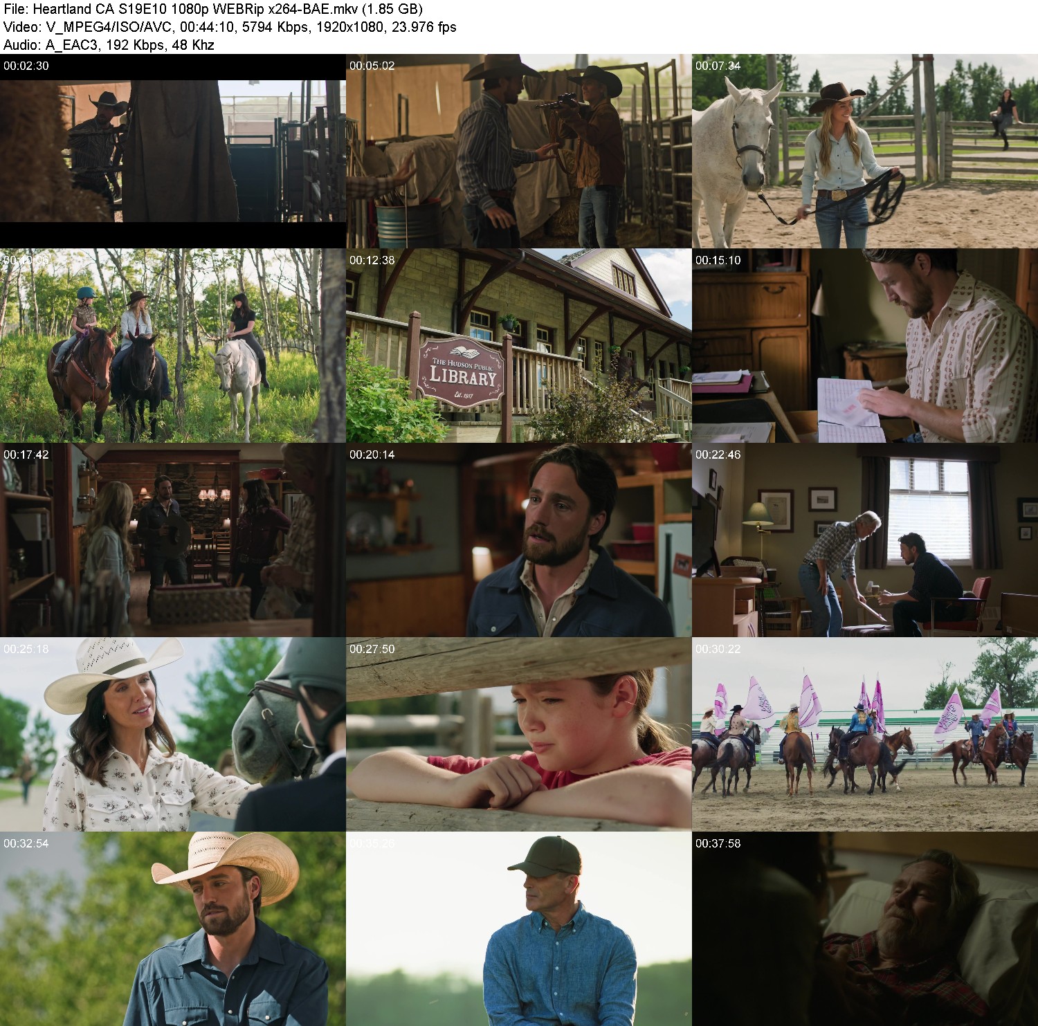 [Image: igb2k9g7lov0.jpg]