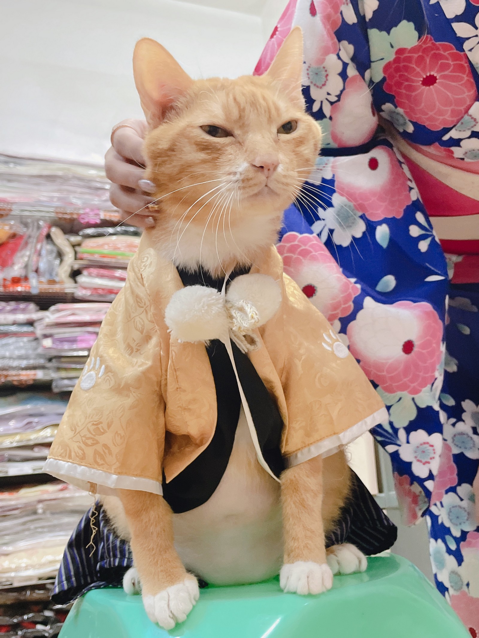 泥泥汝 和服主题 写真＋视频合集｜日式传统风高清图集（440P｜26V｜1.36GB）插图