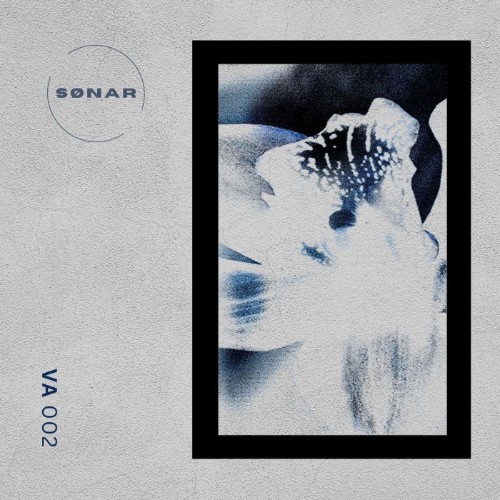 https://i.postimg.cc/B4cLkqfp/00-va-sonar-va-002-snr-va002-web-2026-cover.jpg
