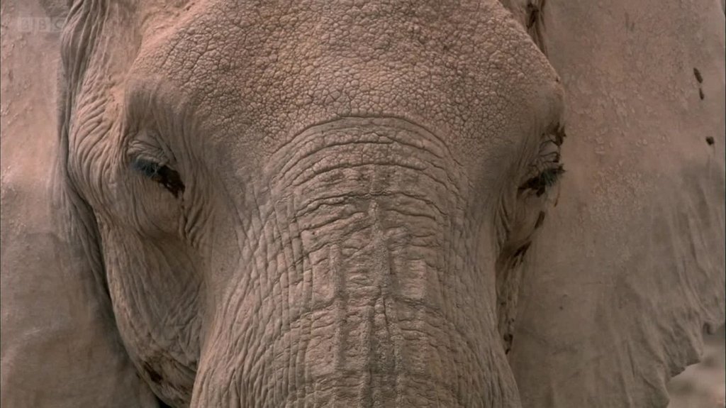 [Image: lmf8a8i3dnl4.jpg]