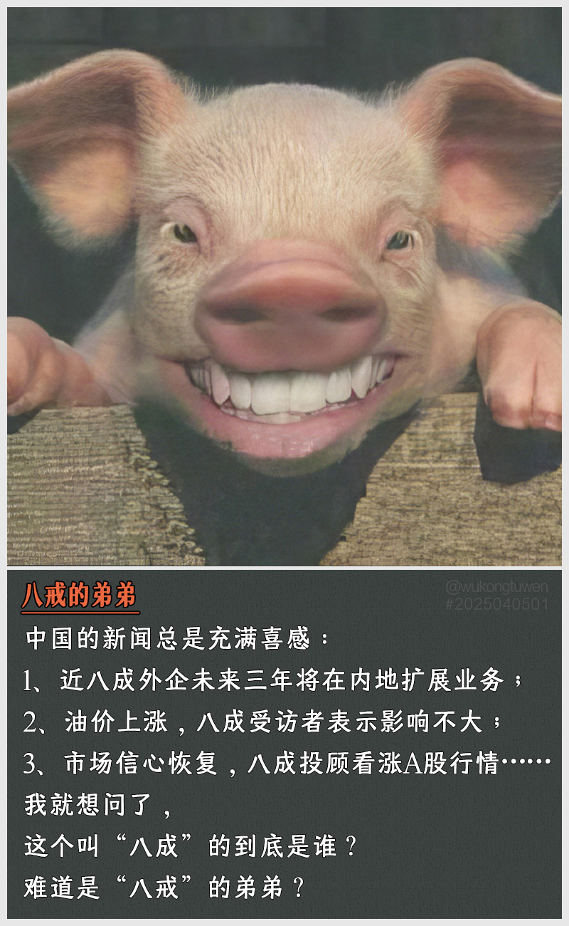 https://i.postimg.cc/B4fjtDH4/2025040501.jpg