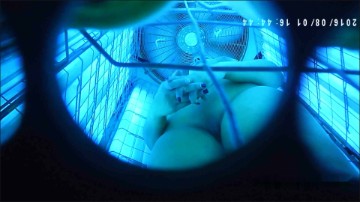[Image: Voyeur14115115248.jpg]