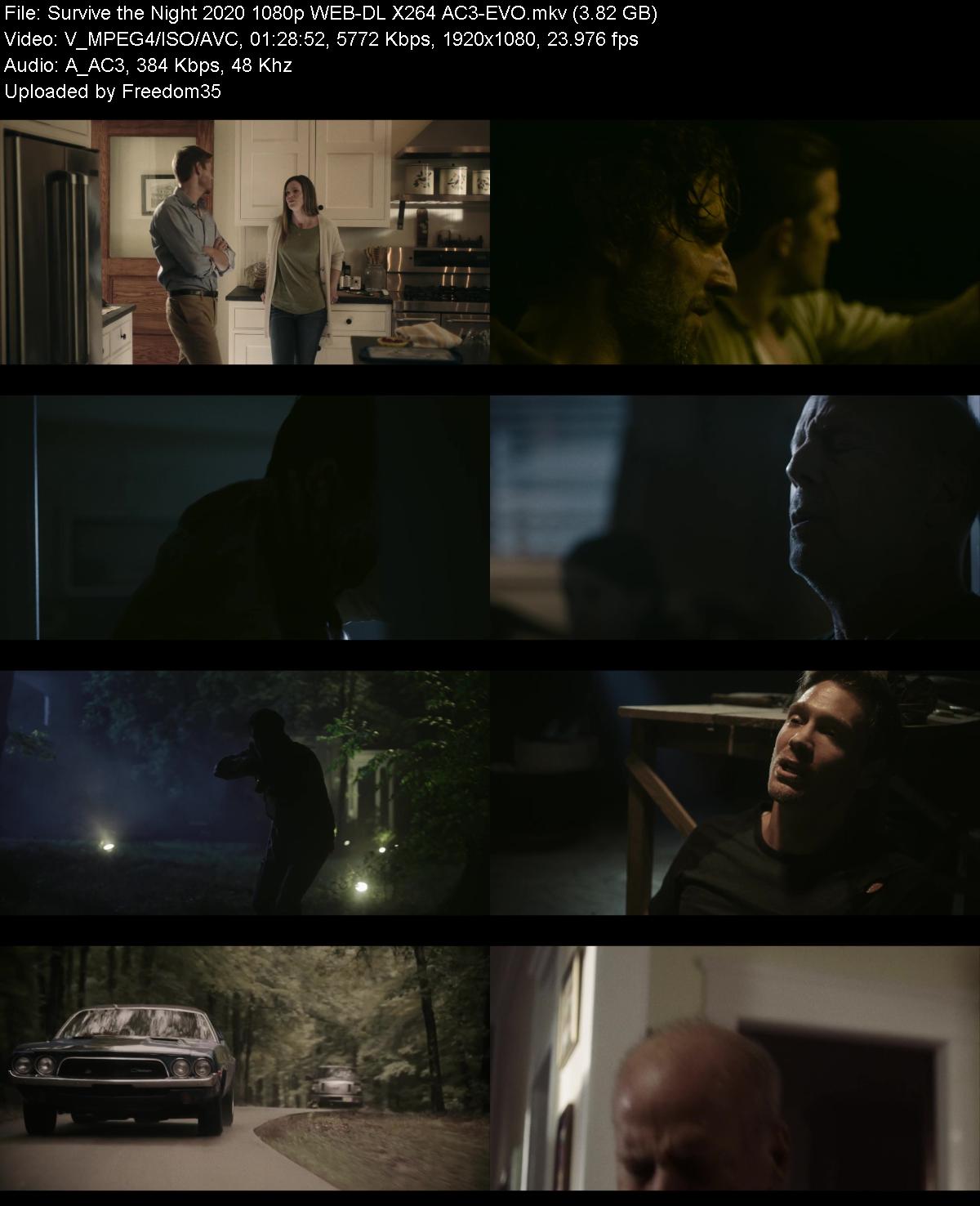 Survive-the-Night-2020-1080p-WEB-DL-X264