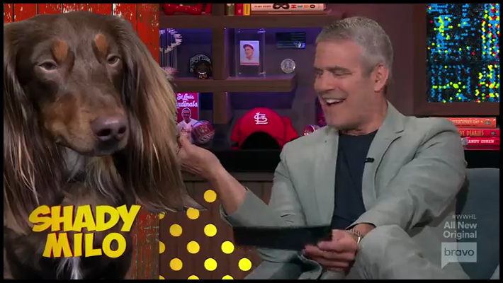 [Image: i699ylpsx0hg.png]