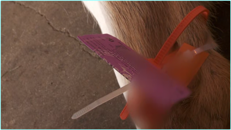 [Image: x6rl46mnge6n.png]