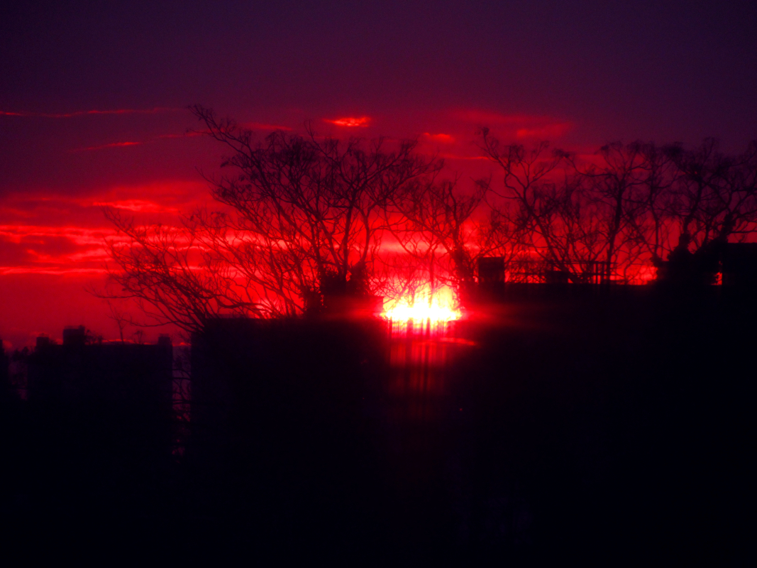 a photograph of fiery red sunset dipping in between buildings