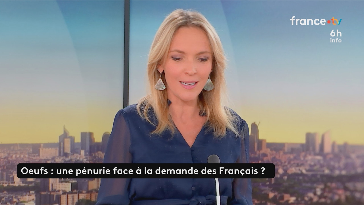 Le 6h info France 2 2025 11 15 05 57 ts snapshot 18 23 763