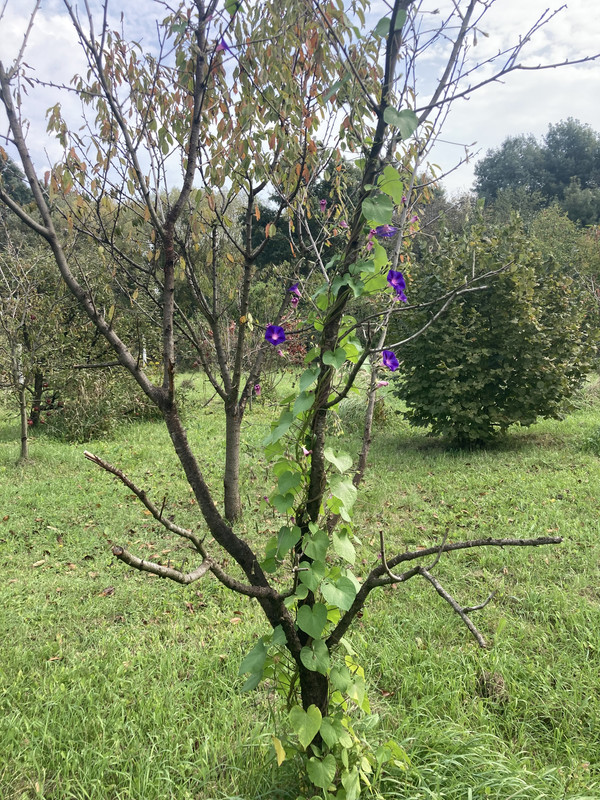 C1F9CC0B-0E18-4968-AD5F-BB5D831EB472