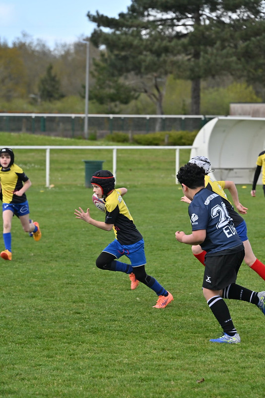 dsc-1724-55181297666-l