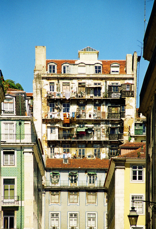 p8.jpg