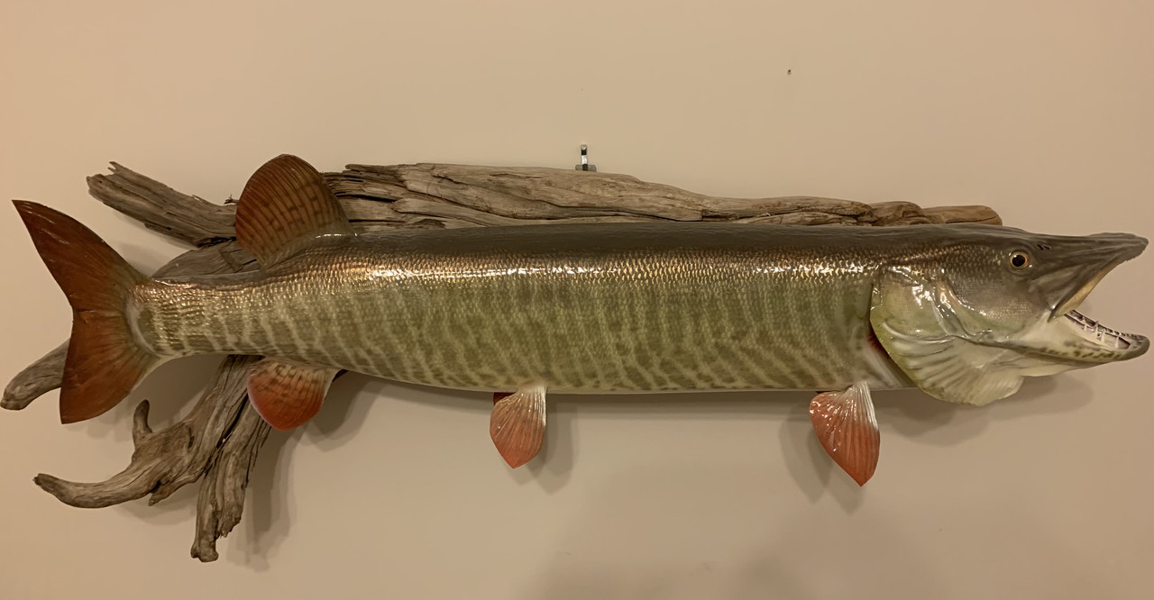 9626569B-33E5-4E27-B3AC-C6A02666D231