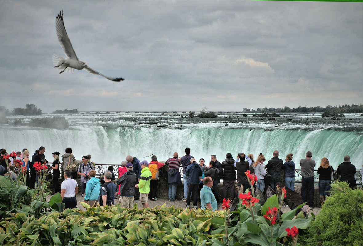 
							Bridal Veil Falls