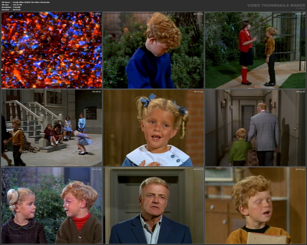 Family Affair S02E05 The Other Cheek.mkv