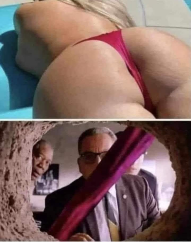 Screenshot 2026 07 23 at 10 07 00 Post a MEME Thread Page 5897 Yellow Bullet Forums