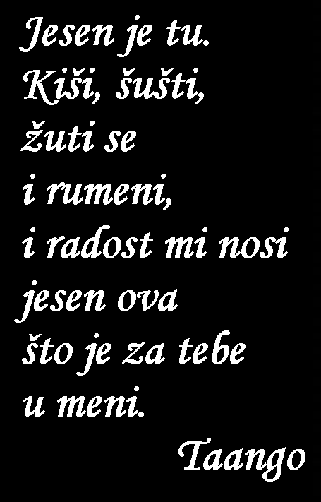 Snimka-zaslona-2025-10-26-193747