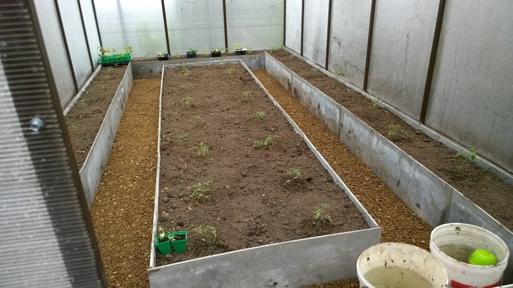 polosy-dlya-gryadok-lg