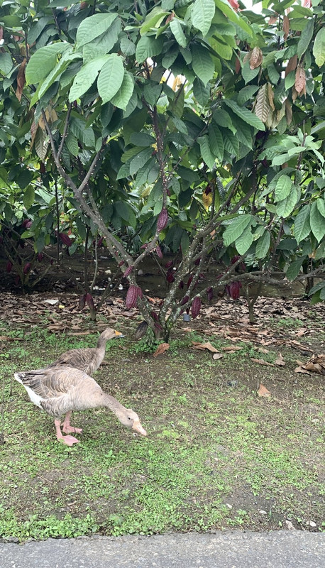 A7B0A7E0-1691-446E-940D-4F86AC0BB987