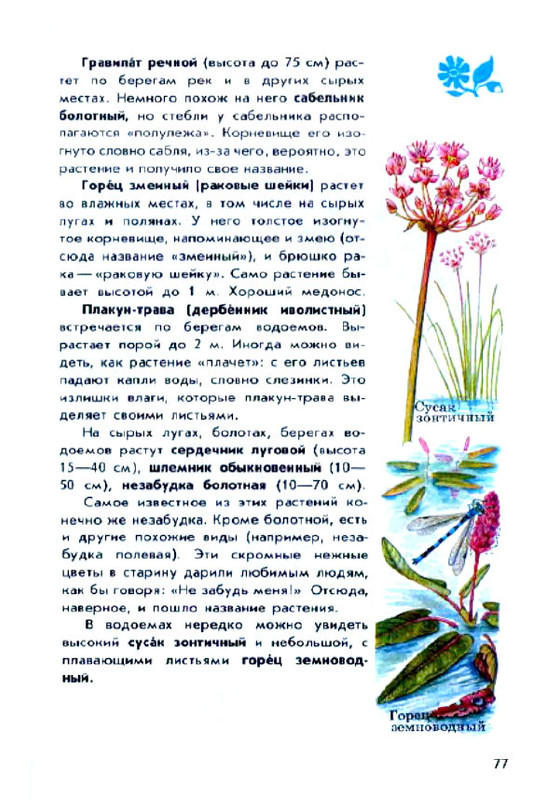 От земли до стола как обеспечить свою семью свежими овощами, выращенными на плодородной почве.