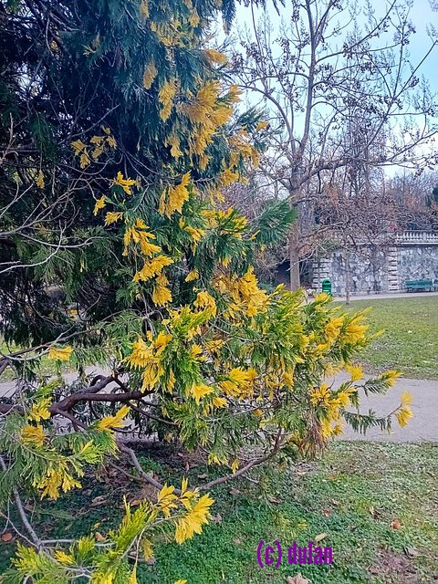 [Image: IMG-20241226-193204.jpg]