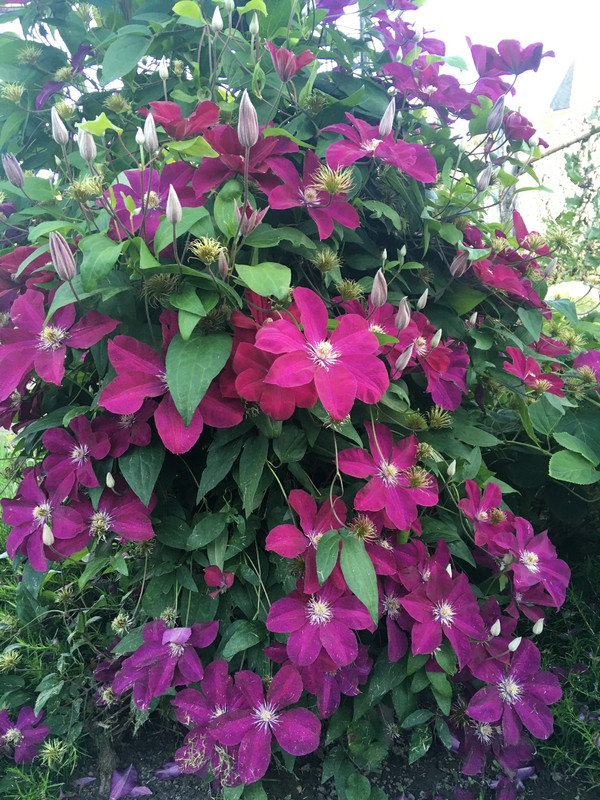 DC0489E4-C4B4-46B3-84EA-F4E813DC6A06