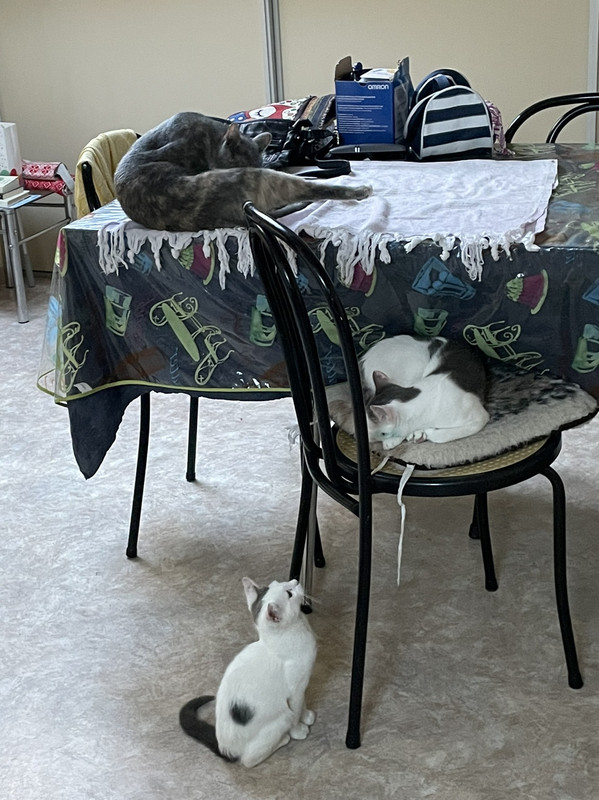 3AFC53D1-4F9C-4F54-8A05-C4E5BA398EB9