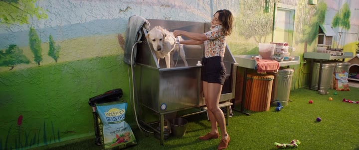 Dog.Days.(2018).XviD.Ita.Eng.Mp3-MIRCrew.avi_snapshot_00.37.53_[