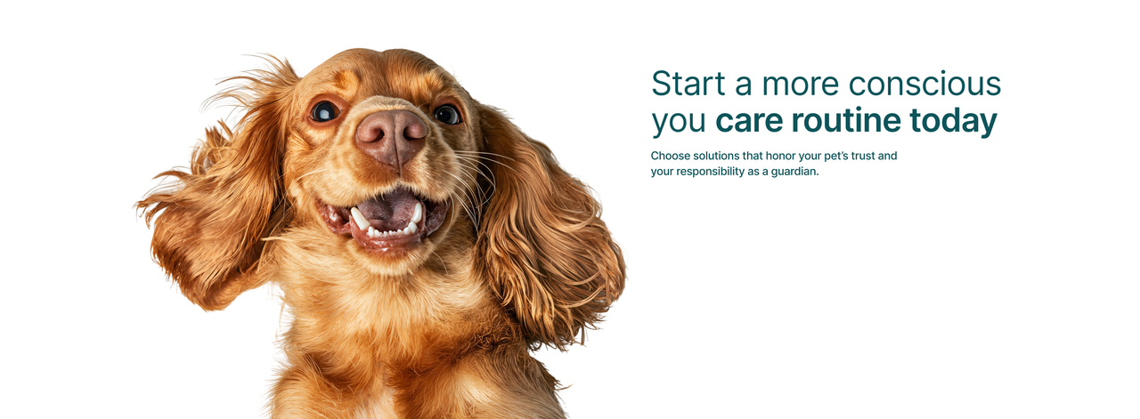 BamChi products hero