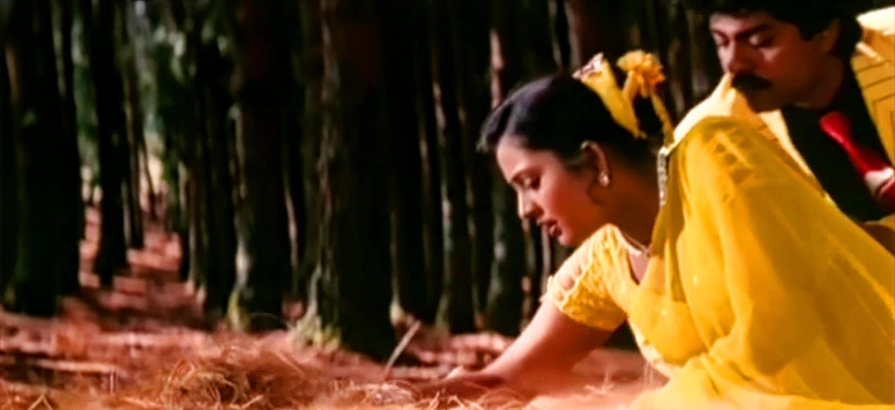 vlcsnap-2023-04-08-17h24m33s403