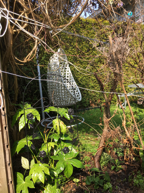 C03364F4-D242-4729-B318-3EC67F5E266E