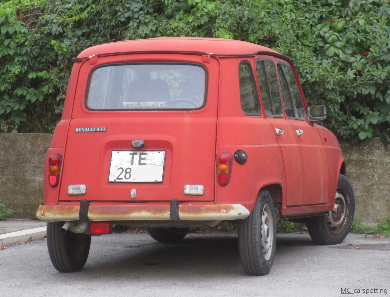 IMG-9377.jpg