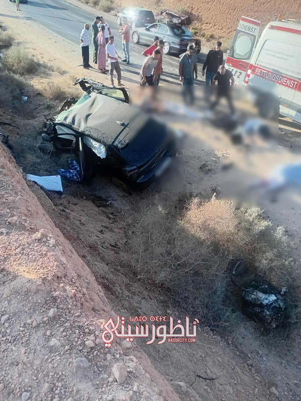 540010353-1140123841309036-5387285221925068267-n