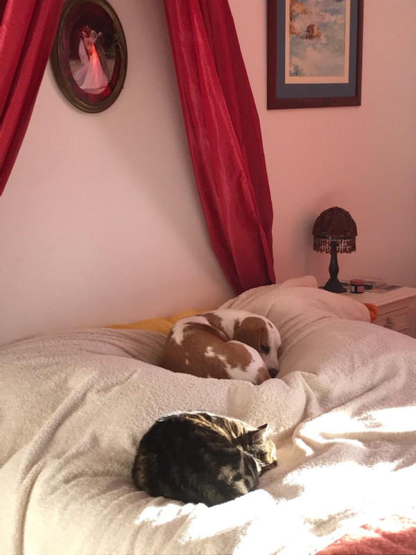 [Image: IMG-5025.jpg]