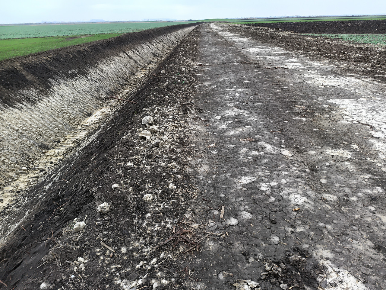 IMG 20251127 140106 882