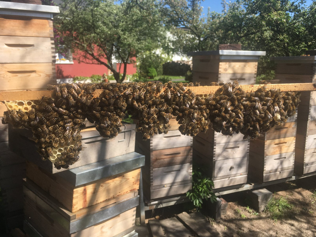 676B4612-4900-4801-87FF-E8F7BC2FB28E